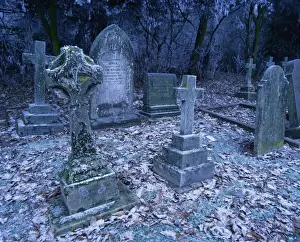 Tomb Stone Prints: Frost on headstones and gravestones in a graveyard in winter at Ossington