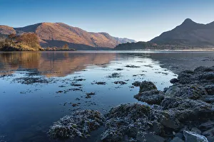 Loch Leven Prints: Frosted seaweed along the shore of Loch Leven, Lochaber, Scotland, United Kingdom, Europe