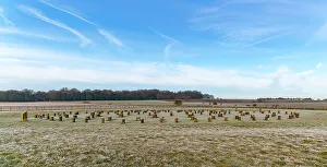 Ancient Site Prints: Frosty cold weather and posts of Neolithic henge site