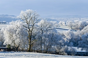 Frosty landscape, Powys, Wales, United Kingdom, Europe
