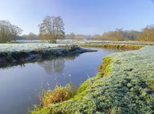 Wet Land Prints: A frosty morning on Surrey Wildlife Trusts wetland reserve
