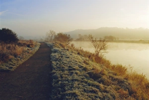 Nottinghamshire Prints: Frosty river bank, River Trent, Attenborough, Nottinghamshire, England