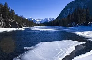 Images Dated 22nd February 2008: The frozen Bow River, Banff, Alberta, Canada, North America