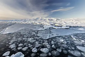 South Iceland Prints: Frozen Jokulsarlon Glacial Lagoon in winter with ice in the foreground and snow covered