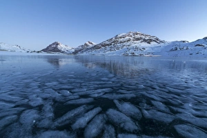 Blue Ice Prints: The frozen Lago Bianco framed the blue lights of dusk, Bernina Pass, canton of Graubunden
