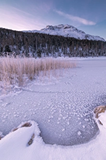 Typically Swiss Prints: Frozen lake, Lej da Staz, St. Moritz