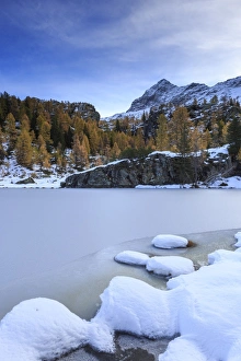 Valtellina Prints: Frozen Lake Mufule framed by larches and snow in autumn