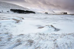 Awe Inspiring Prints: Frozen Loch Droma backed by Meall Breac