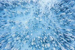 Frozen snowy forest after a winter blizzard at dusk, overhead view, Lapland, Finland, Europe