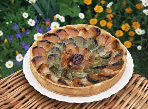 French Food Prints: A fruit tart in Normandy, France, Europe