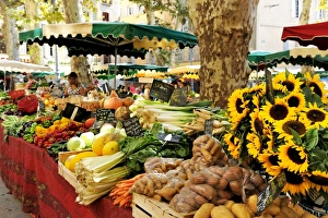 Vege Table Prints: Fruit and vegetable market, Aix-en-Provence, Bouches-du-Rhone, Provence, France, Europe