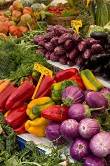 Produce Prints: Fruit and vegetables for sale in Mercato di Campo de Fiori, Rome, Lazio, Italy, Europe