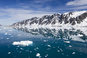Ice Berg Prints: Fugle fjord