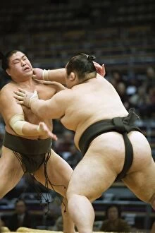 Images Dated 27th November 2009: Fukuoka Sumo competition, Kyushu Basho, Fukuoka city, Kyushu, Japan, Asia