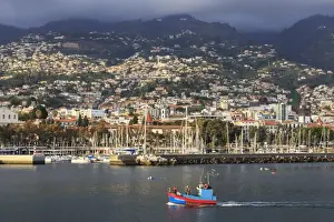 Funchal Prints: Funchal town from sea with fishing boat, lit by evening sun with foggy mountain backdrop