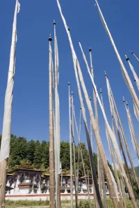 Poles Prints: Funeral prayer flags at Kurjey Lhakhang temple built in 1652 by Mingyur Tenpu