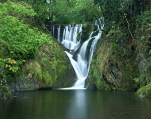 Dyfed Prints: Furnace Falls and pool below, Furnace, Dyfed, Wales, United Kingdom, Europe