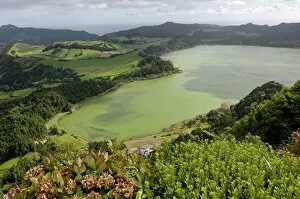 Images Dated 16th October 2006: Furnas Lake, Sao Miguel Island, Azores, Portugal, Europe