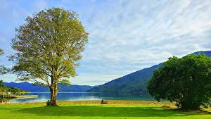 Bench Prints: Furneaux Lodge, Marlborough Sound, South Island, New Zealand