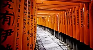 Wooden Post Gallery: Fushimi Inari, Kyoto, Japan, Asia