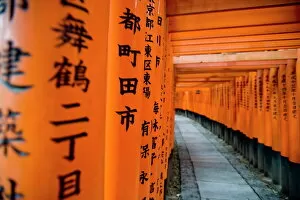 Images Dated 2nd April 2009: Fushimi Inari shrine, Tokyo, Japan, Asia