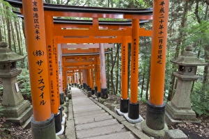 Fushimi Inari Taisha, Shinto shrine, vermilion torii gates line paths in wooded forest