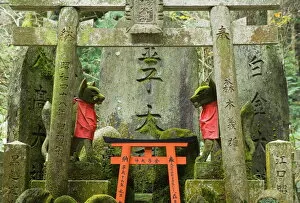 Images Dated 20th November 2007: Fushimi Inari-taisha Shrine