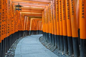 Shintoism Prints: Fushimi Inari Taisha shrine and torii gates, Kyoto, Japan, Asia