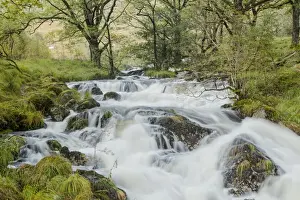 Falling Prints: Gairland Burn near to Loch Trool in a part of the Galloway Forest Park