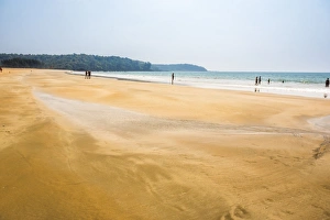South Goa Prints: Galgibag Beach, South Goa, India, Asia