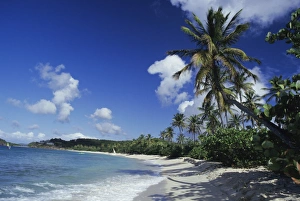 Galley Bay beach, Antigua, Caribbean, West Indies, Central America