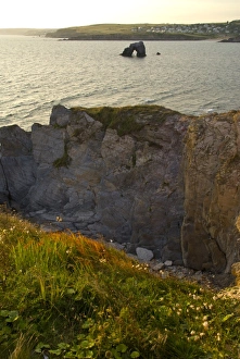 South Hams Prints: Galmpton, Bigbury Bay, South Hams, Devon, England, United Kingdom, Europe
