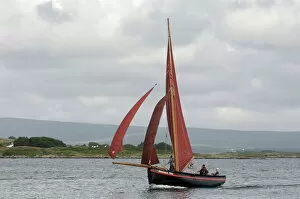 Images Dated 7th January 2000: Galway hookers at Roundstone Regatta