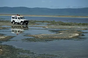 Tanzania Prints: Game viewing from Landrover, Ngorongoro Crater, UNESCO World Heritage Site