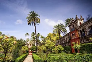 Landscape Design Prints: Garden of Alcazar of Sevilla in spring