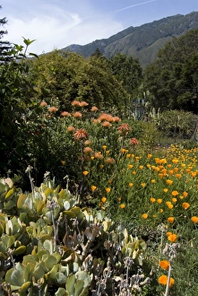 Big Sur Prints: Garden at Big Sur Bakery
