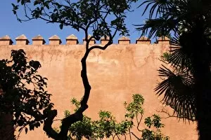 Images Dated 16th April 2011: Garden of the Chorron, Real Alcazar, Seville, Andalucia, Spain, Europe