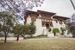 Bhutan Prints: The garden at the entrance of the Punakha Dzong where there are trees of different species