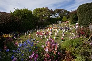 Images Dated 28th February 2009: Garden gnomes, Port Stanley, Falkland Islands, South America