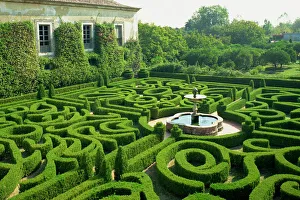 Hedge Prints: Garden maze