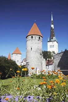 Garden outside Lower Town Wall with Oleviste Church in background, Tallinn
