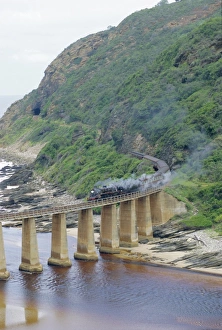 Garden Route Prints: Garden Route
