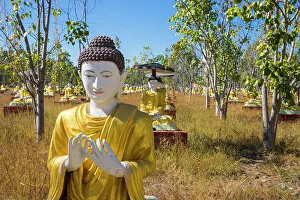 Monywa Prints: Garden of Thousand Buddhas, Monywa, Myanmar (Burma), Asia