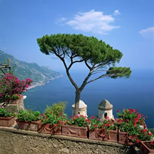 Terrace Prints: Garden of Villa Rufolo