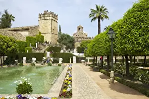 Alcazar Prints: Gardens in Alcazar, Cordoba, Andalucia, Spain, Europe
