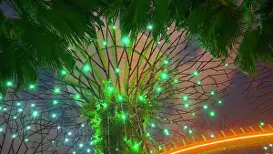 Events Prints: Gardens By The Bay light show, Singapore
