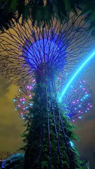 Landscaping Prints: Gardens By The Bay light show, Singapore