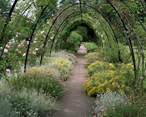 Walk Way Prints: Gardens, Crathes Castle