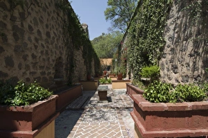 Images Dated 23rd April 2008: Gardens in Guanajuato, UNESCO World Heritage Site, Guanajuato State, Mexico