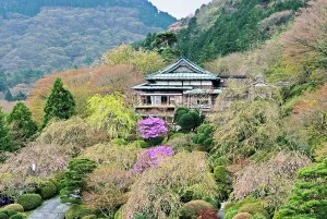 Ornamental Prints: Gardens of Mikawaya Ryokan, Hakone, Japan